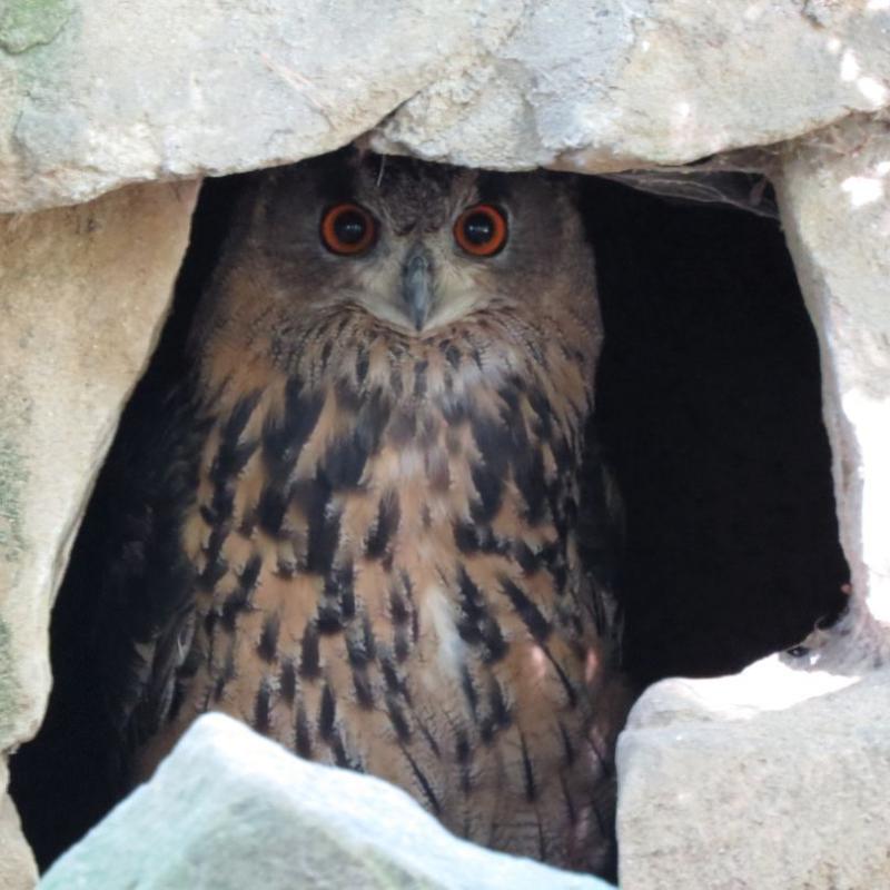 heimattiergarten-tierpark-zoo-fuerstenwalde-tiere-395