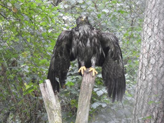 heimattiergarten-tierpark-zoo-fuerstenwalde-tiere-365