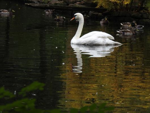 heimattiergarten-tierpark-zoo-fuerstenwalde-tiere-404